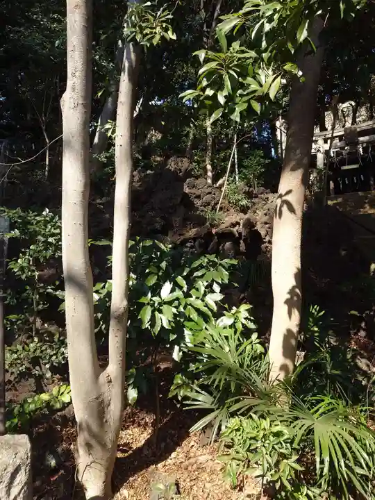 熊野神社(東京都)