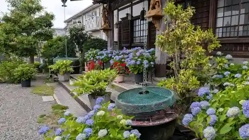 宗心寺(静岡県)