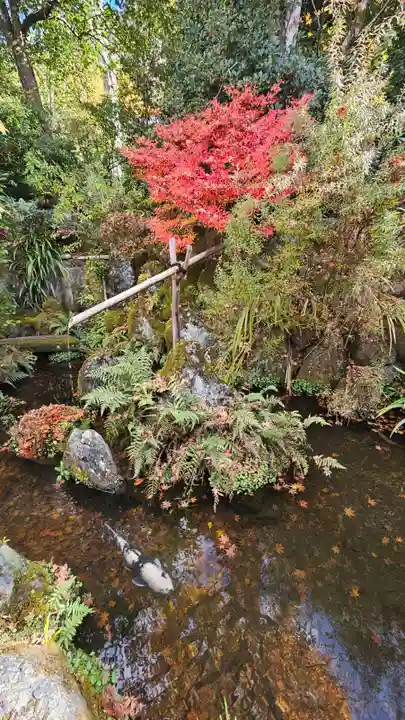 宝泉院(京都府)