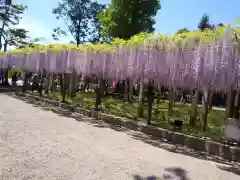 三大神社の自然