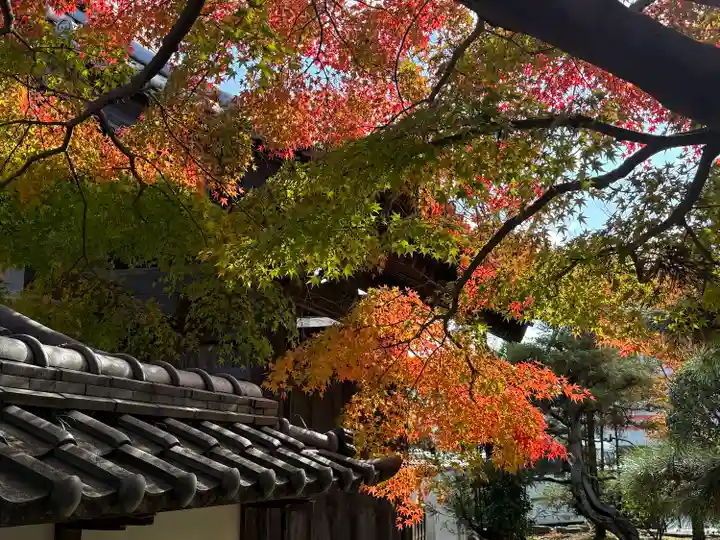 伊勢の国 四天王寺(三重県)