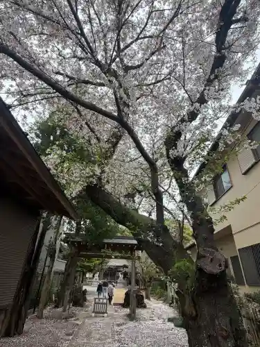 印内八坂神社の{uncategorized: "未分類", other: "その他", undefined: "問題あり", building: "その他建物", grave: "お墓", sacred_gate: "鳥居", guardian: "狛犬", statue: "像", buddha: "仏像", history: "歴史", nature: "自然", garden: "庭園", animal: "動物", pagoda: "塔", temizu: "手水舎", mountain_gate: "山門・神門", sanctuary: "本殿・本堂", subordinate: "末社・摂社", art: "芸術", scenery: "景色", jizo: "地蔵", ema: "絵馬", goshuin: "御朱印", omikuji: "おみくじ", items: "授与品その他", amulet: "お守り", goshuincho: "御朱印帳", eats: "食事", festival: "お祭り", votive_dance: "神楽", shichigosan: "七五三参", wedding: "結婚式", experience: "体験その他", initially: "初詣", around: "周辺", anti_infection: "感染症対策"}