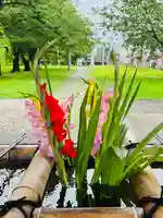 守りの神 藤基神社(新潟県)