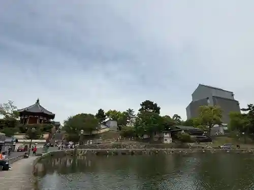 興福寺の{uncategorized: "未分類", other: "その他", undefined: "問題あり", building: "その他建物", grave: "お墓", sacred_gate: "鳥居", guardian: "狛犬", statue: "像", buddha: "仏像", history: "歴史", nature: "自然", garden: "庭園", animal: "動物", pagoda: "塔", temizu: "手水舎", mountain_gate: "山門・神門", sanctuary: "本殿・本堂", subordinate: "末社・摂社", art: "芸術", scenery: "景色", jizo: "地蔵", ema: "絵馬", goshuin: "御朱印", omikuji: "おみくじ", items: "授与品その他", amulet: "お守り", goshuincho: "御朱印帳", eats: "食事", festival: "お祭り", votive_dance: "神楽", shichigosan: "七五三参", wedding: "結婚式", experience: "体験その他", initially: "初詣", around: "周辺", anti_infection: "感染症対策"}