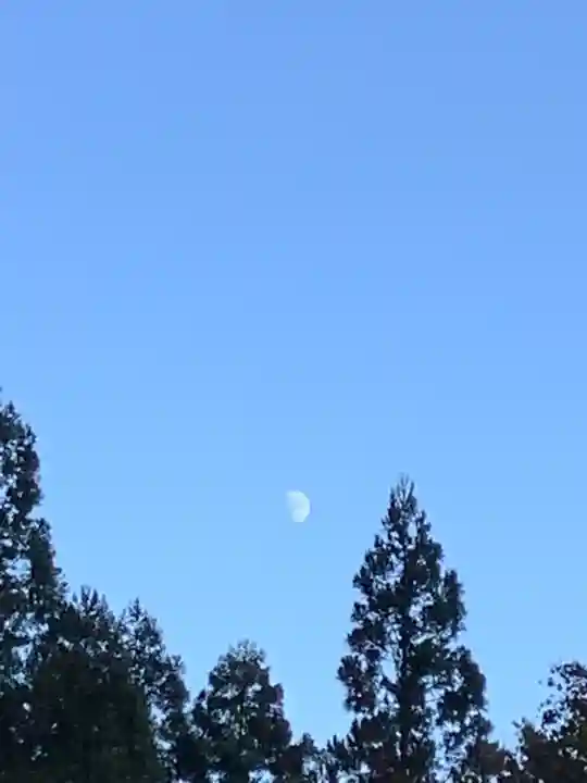 大矢田神社(岐阜県)