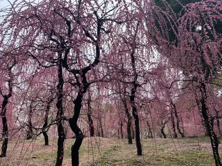 城南宮(京都府)