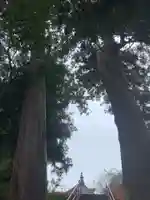 真浄寺(千葉県)