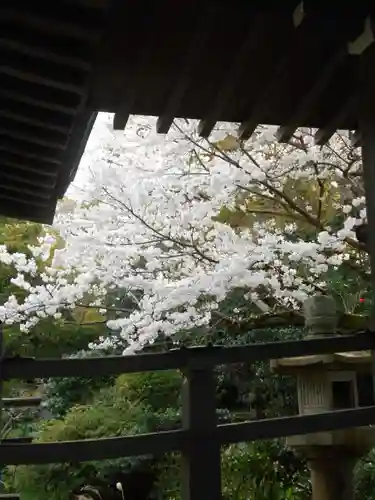 光明寺(神奈川県)