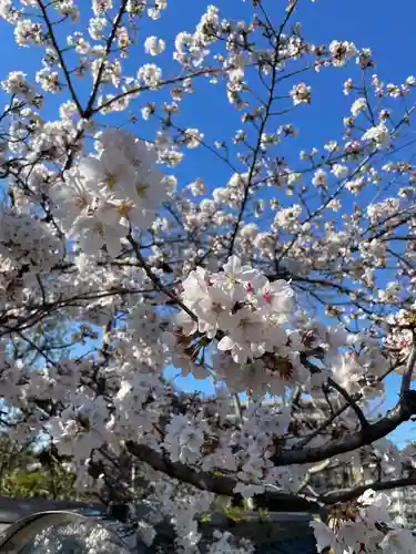 船橋不動尊　寳性寺(東京都)