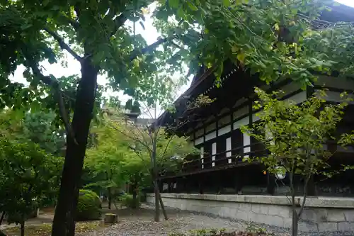 三十三間堂本坊　妙法院門跡のその他建物