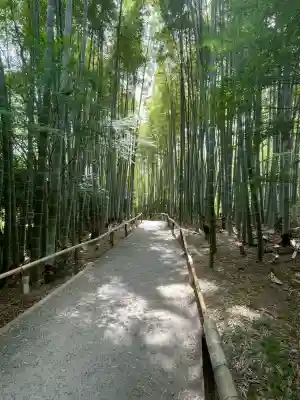 高台寺（高台寿聖禅寺・高臺寺）(京都府)