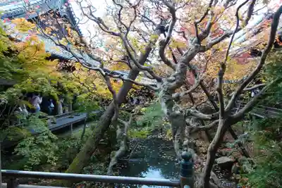 禅林寺(永観堂)(京都府)