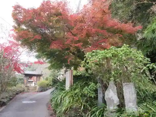 海蔵寺の景色