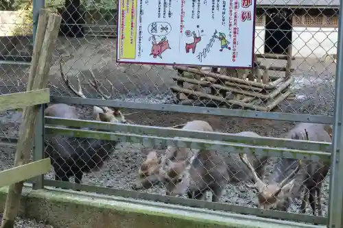 鹿島神宮(茨城県)