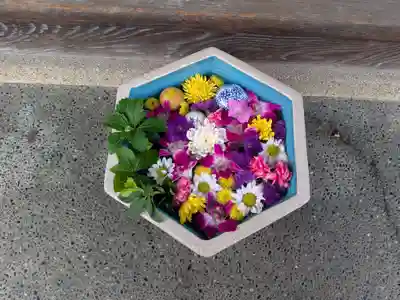 谷中西光寺(東京都)