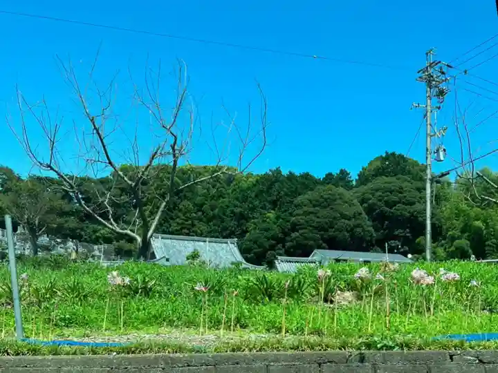 久能山東照宮の周辺