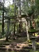 瀧神社の{uncategorized: "未分類", other: "その他", undefined: "問題あり", building: "その他建物", grave: "お墓", sacred_gate: "鳥居", guardian: "狛犬", statue: "像", buddha: "仏像", history: "歴史", nature: "自然", garden: "庭園", animal: "動物", pagoda: "塔", temizu: "手水舎", mountain_gate: "山門・神門", sanctuary: "本殿・本堂", subordinate: "末社・摂社", art: "芸術", scenery: "景色", jizo: "地蔵", ema: "絵馬", goshuin: "御朱印", omikuji: "おみくじ", items: "授与品その他", amulet: "お守り", goshuincho: "御朱印帳", eats: "食事", festival: "お祭り", votive_dance: "神楽", shichigosan: "七五三参", wedding: "結婚式", experience: "体験その他", initially: "初詣", around: "周辺", anti_infection: "感染症対策"}