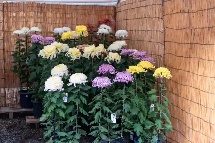 生島足島神社(長野県)
