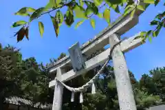 石津十禅師 日吉神社（新旭町針江）(滋賀県)