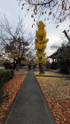 西宗寺(京都府)