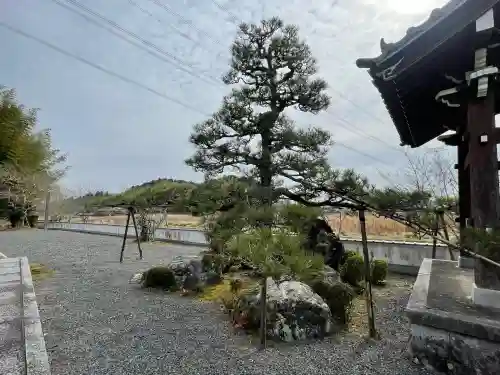 永福寺の{uncategorized: "未分類", other: "その他", undefined: "問題あり", building: "その他建物", grave: "お墓", sacred_gate: "鳥居", guardian: "狛犬", statue: "像", buddha: "仏像", history: "歴史", nature: "自然", garden: "庭園", animal: "動物", pagoda: "塔", temizu: "手水舎", mountain_gate: "山門・神門", sanctuary: "本殿・本堂", subordinate: "末社・摂社", art: "芸術", scenery: "景色", jizo: "地蔵", ema: "絵馬", goshuin: "御朱印", omikuji: "おみくじ", items: "授与品その他", amulet: "お守り", goshuincho: "御朱印帳", eats: "食事", festival: "お祭り", votive_dance: "神楽", shichigosan: "七五三参", wedding: "結婚式", experience: "体験その他", initially: "初詣", around: "周辺", anti_infection: "感染症対策"}