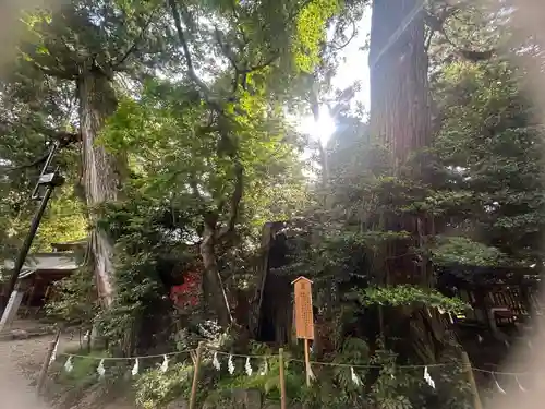 香取神宮(千葉県)