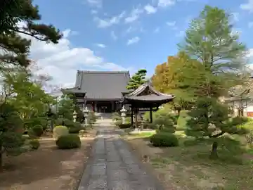 妙顕寺の本殿・本堂