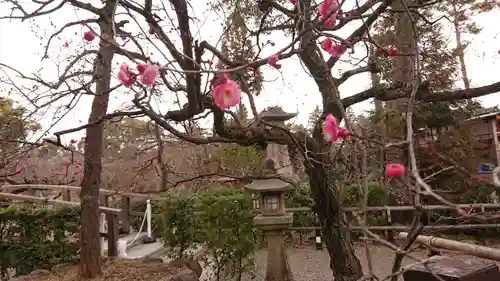 北野天満宮(京都府)