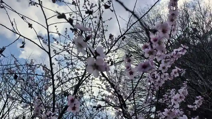 平野神社(京都府)