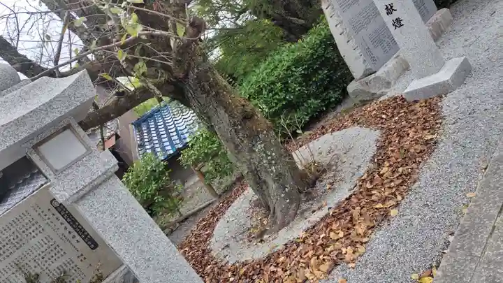 出雲大神宮(京都府)