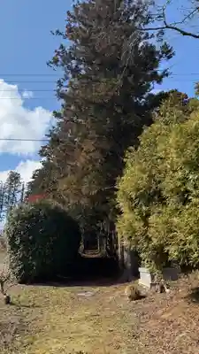 遠流志別石神社(宮城県)