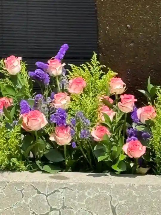 上尾御嶽神社の手水舎