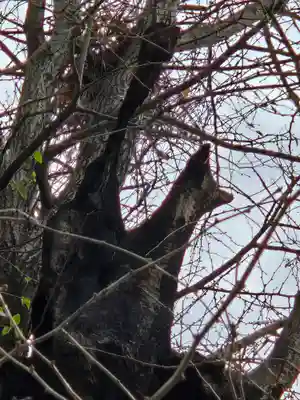 飛木稲荷神社(東京都)