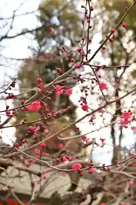 北野天満宮(京都府)