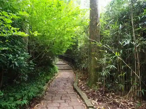 箱根神社の自然