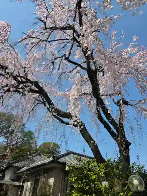中院(埼玉県)