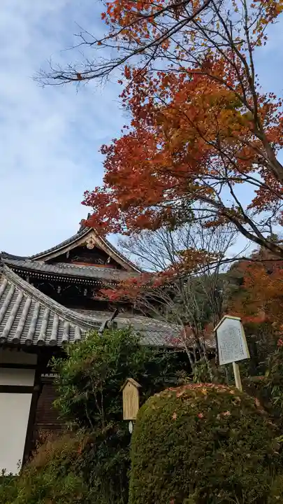 三室戸寺(京都府)