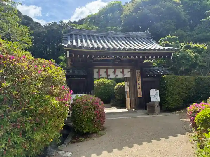 船宿寺の{uncategorized: "未分類", other: "その他", undefined: "問題あり", building: "その他建物", grave: "お墓", sacred_gate: "鳥居", guardian: "狛犬", statue: "像", buddha: "仏像", history: "歴史", nature: "自然", garden: "庭園", animal: "動物", pagoda: "塔", temizu: "手水舎", mountain_gate: "山門・神門", sanctuary: "本殿・本堂", subordinate: "末社・摂社", art: "芸術", scenery: "景色", jizo: "地蔵", ema: "絵馬", goshuin: "御朱印", omikuji: "おみくじ", items: "授与品その他", amulet: "お守り", goshuincho: "御朱印帳", eats: "食事", festival: "お祭り", votive_dance: "神楽", shichigosan: "七五三参", wedding: "結婚式", experience: "体験その他", initially: "初詣", around: "周辺", anti_infection: "感染症対策"}