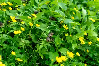 白山比咩神社　奥宮(石川県)