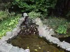 武州柿生琴平神社(神奈川県)