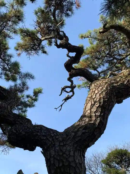 延命寺(身代り不動尊)の自然