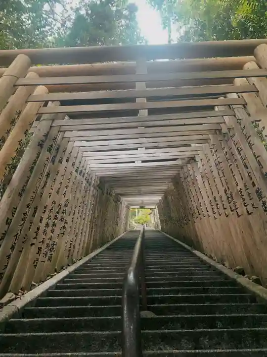 阿賀神社の{uncategorized: "未分類", other: "その他", undefined: "問題あり", building: "その他建物", grave: "お墓", sacred_gate: "鳥居", guardian: "狛犬", statue: "像", buddha: "仏像", history: "歴史", nature: "自然", garden: "庭園", animal: "動物", pagoda: "塔", temizu: "手水舎", mountain_gate: "山門・神門", sanctuary: "本殿・本堂", subordinate: "末社・摂社", art: "芸術", scenery: "景色", jizo: "地蔵", ema: "絵馬", goshuin: "御朱印", omikuji: "おみくじ", items: "授与品その他", amulet: "お守り", goshuincho: "御朱印帳", eats: "食事", festival: "お祭り", votive_dance: "神楽", shichigosan: "七五三参", wedding: "結婚式", experience: "体験その他", initially: "初詣", around: "周辺", anti_infection: "感染症対策"}