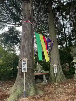 棚機神社(奈良県)
