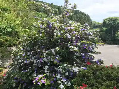 承福寺(福岡県)