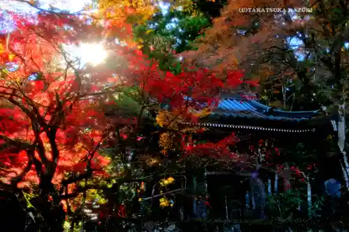 最乗寺（道了尊）(神奈川県)