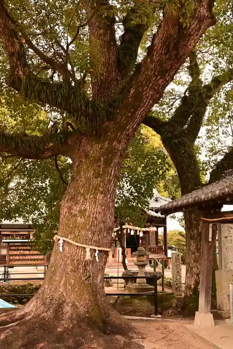 履脱天満神社(愛媛県)