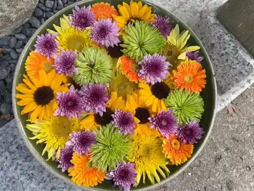 彌都加伎神社(三重県)