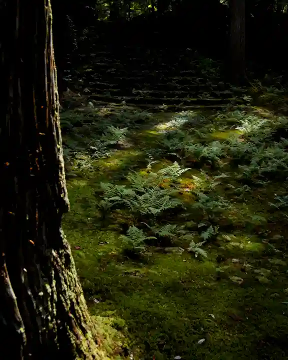 平泉寺白山神社(福井県)