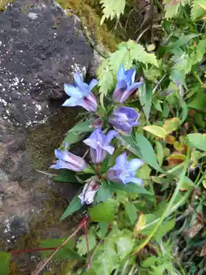 公時神社(神奈川県)