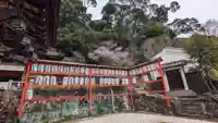 新宮神社(京都府)